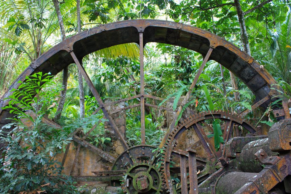 Balenbouche Estate Laborie Exterior foto